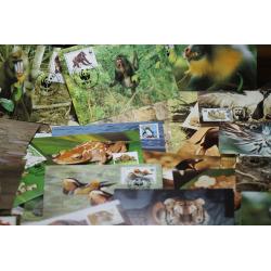 50 cartes philatéliques WWF (ref 102778)