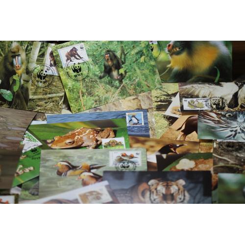 25 cartes philatéliques WWF (ref 102761)