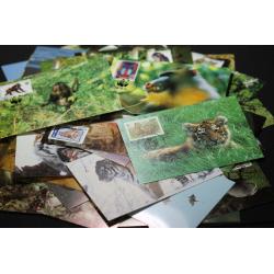 100 cartes philatéliques WWF (ref 102785)