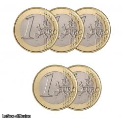 Lot de 5 pièces 1 euro Nelson Mandela 2014 (ref45327)